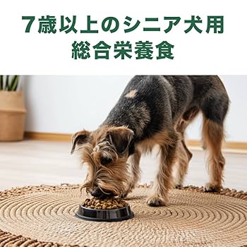ドッグフード kai CAINZ-DASH】キトー 手動チェーンブロック CX形 定格荷重